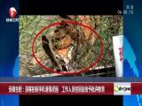 王志刚:科研经费包干信任越大责任越大